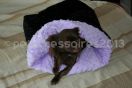 sac de couchage pour chien fourrure noire et polaire parme