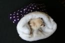 nid douillet sac de couchage pour chien polaire rose