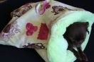 cuddle cup tissu cupcake et fourrure verte