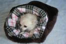 cuddle cuptunnel de couchage pour chien fourruremarron et polaire type burb rose marron