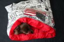 sac de couchage pour chiens et chats fourrure blanche et polaire rose
