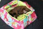 panier pour chien corbeille 2 en 1 rouge et noire